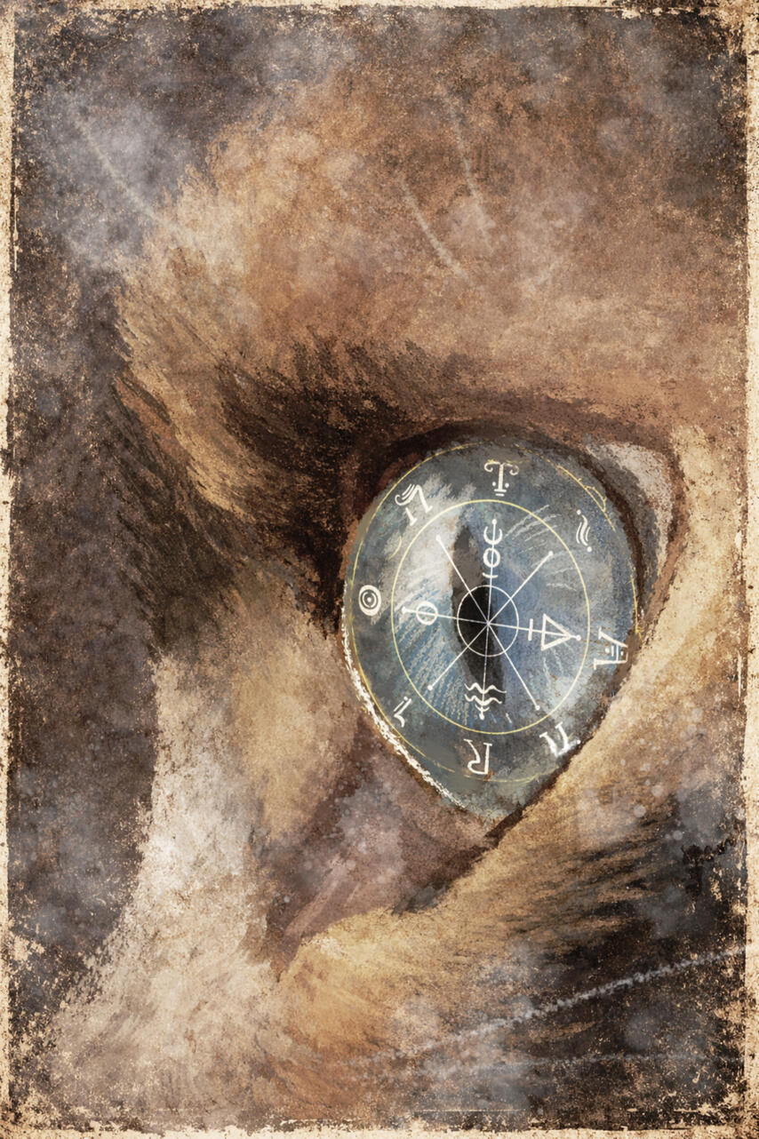 Wheel Of Fortune Wheel Of Fortune